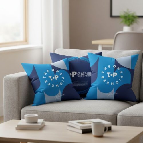 众越财富 · 锋芒系列-抱枕